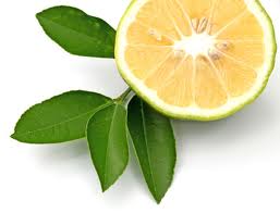 BERGAMOT OIL - Essential Oils